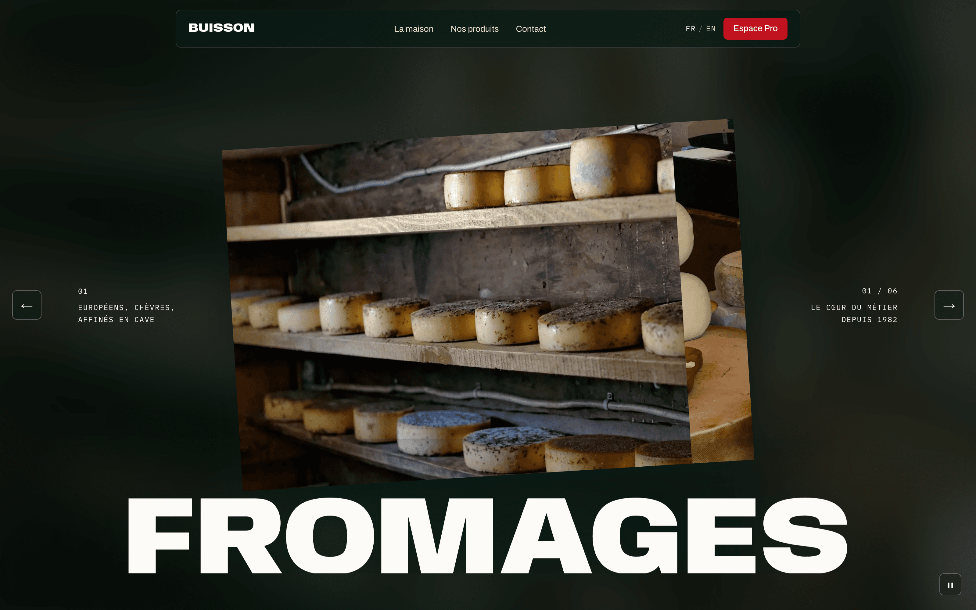 Page d'accueil du site Buisson